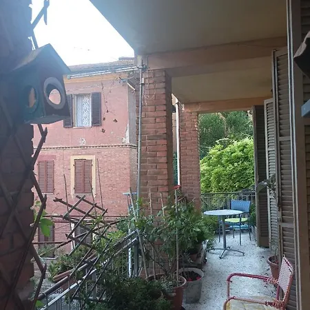 Boh & Boh A Casa Di Luca And His Cats * Perugia