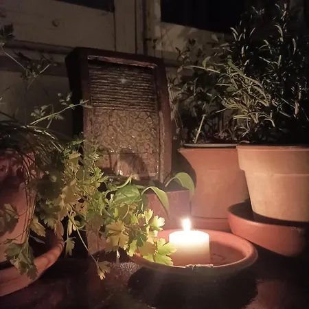 Boh & Boh A Casa Di Luca And His Cats Habitación en casa particular