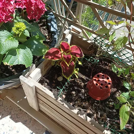 Habitación en casa particular Boh & Boh A Casa Di Luca And His Cats Perugia