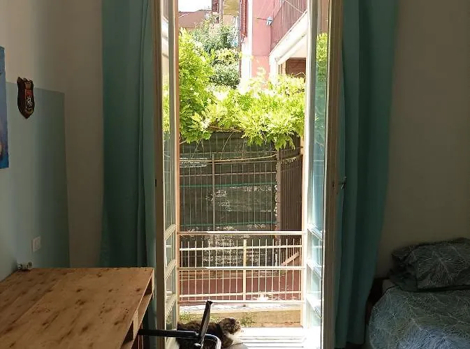 Boh & Boh A Casa Di Luca And His Cats *