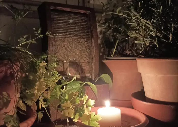 Boh & Boh A Casa Di Luca And His Cats Privat bolig