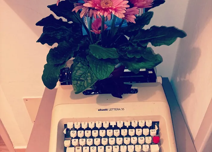 Privat bolig Boh & Boh A Casa Di Luca And His Cats *