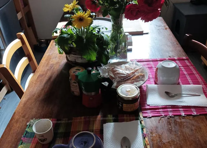 Boh & Boh A Casa Di Luca And His Cats Privat bolig *