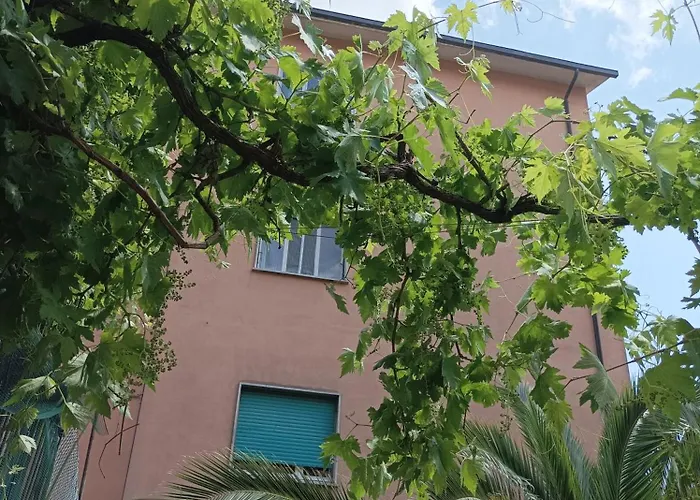 Boh & Boh A Casa Di Luca And His Cats