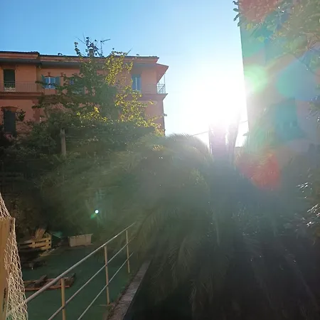 Boh & Boh A Casa Di Luca And His Cats Perugia