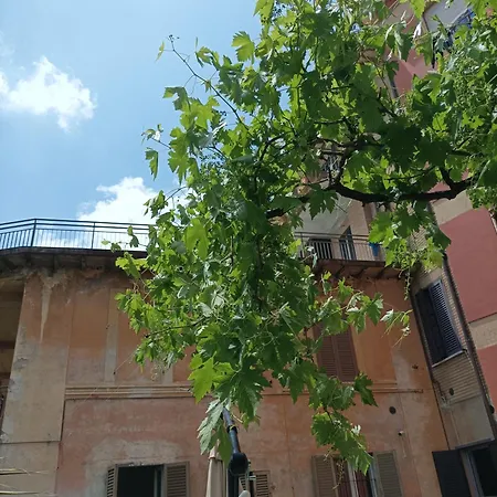 Boh & Boh A Casa Di Luca And His Cats * Perugia