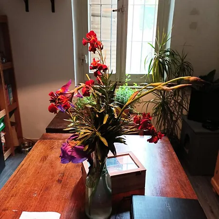 Boh & Boh A Casa Di Luca And His Cats *