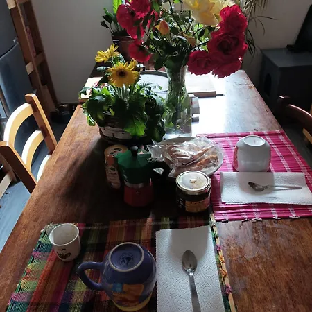 Boh & Boh A Casa Di Luca And His Cats Alloggio in famiglia *