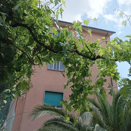 Boh & Boh A Casa Di Luca And His Cats