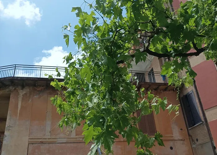 Boh & Boh A Casa Di Luca And His Cats * Perugia