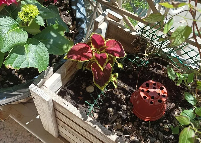 Kwatera prywatna Boh & Boh A Casa Di Luca And His Cats Perugia