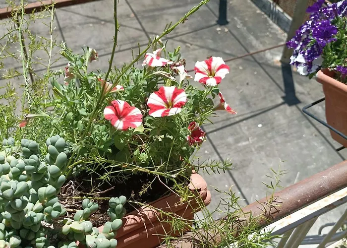 Boh & Boh A Casa Di Luca And His Cats Kwatera prywatna Perugia