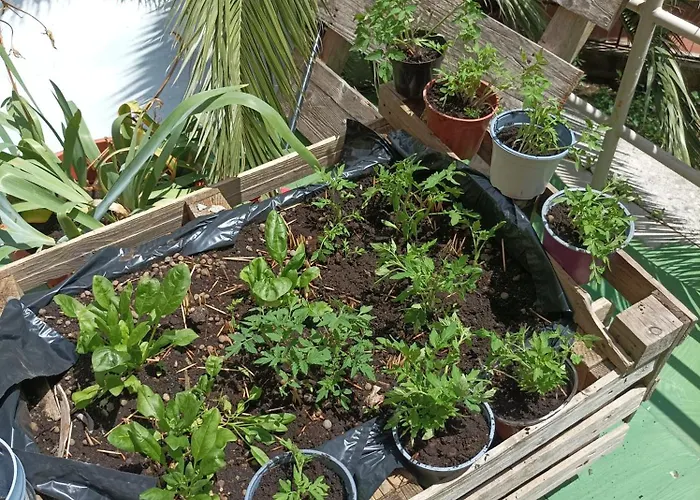 Kwatera prywatna Boh & Boh A Casa Di Luca And His Cats