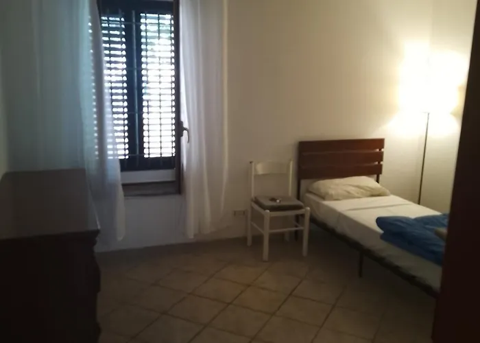 Boh & Boh A Casa Di Luca And His Cats