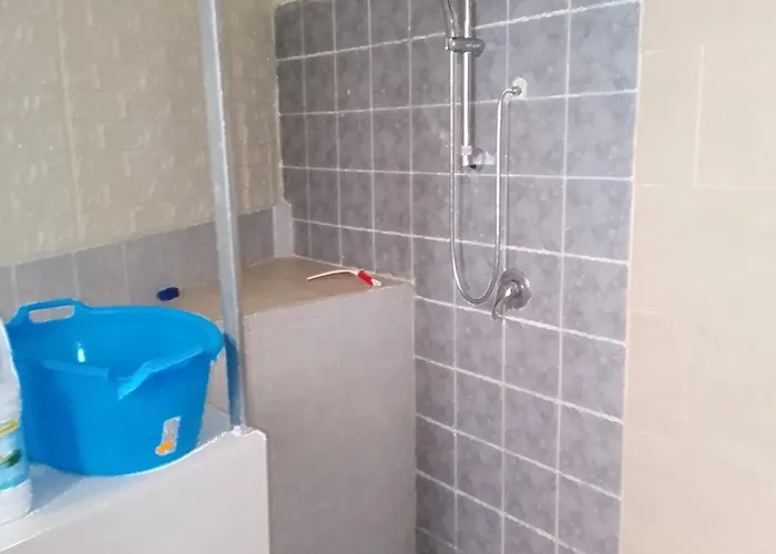 Boh & Boh A Casa Di Luca And His Cats *